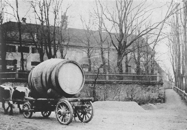 Ochsenkarren mit Bierfaß