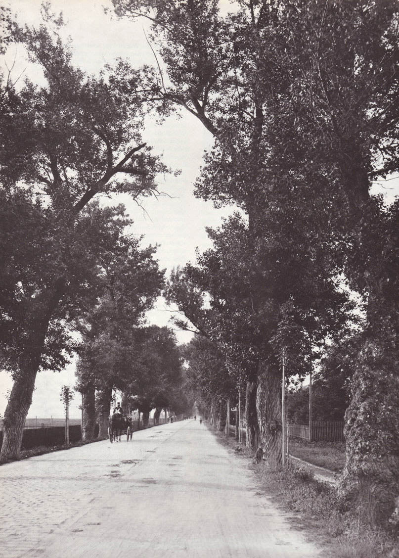 Die Alte Schwabinger 

Landstraße