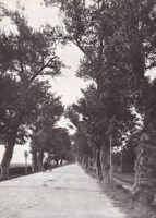  – Die Alte Schwabinger 

Landstraße