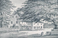 Steinicken Christian – Gasthaus „zum grünen Baum“ 1884