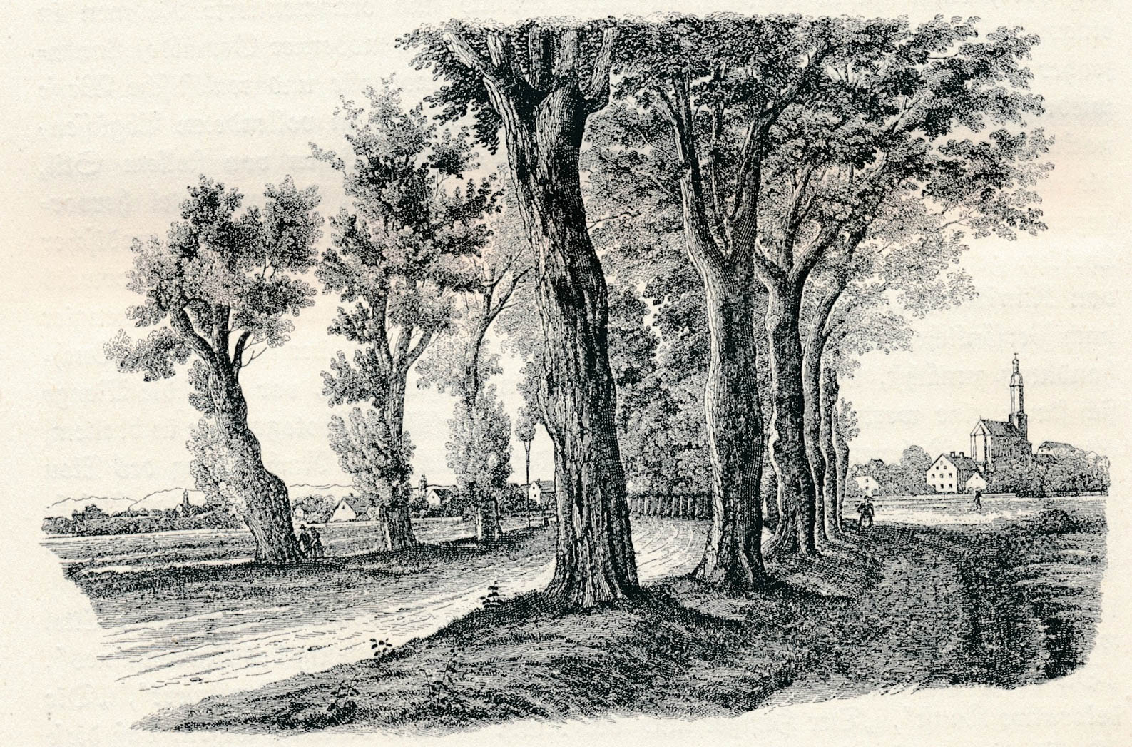 Landstraße nach Sendling