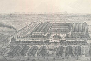 Steinicken Christian – Münchner Schlacht- und Viehhof