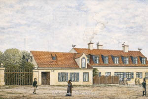  – Regnet - Blatt 47-1