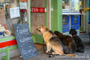 Viktualienmarkt – Foto aus München