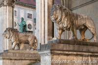 Löwen an der Feldherrnhalle – Foto aus München