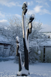 Entfaltung – Foto aus München