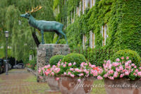 Hirsch - Borstei – Foto aus München