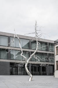 Silberbaum (	Discrepancy) – Foto aus München