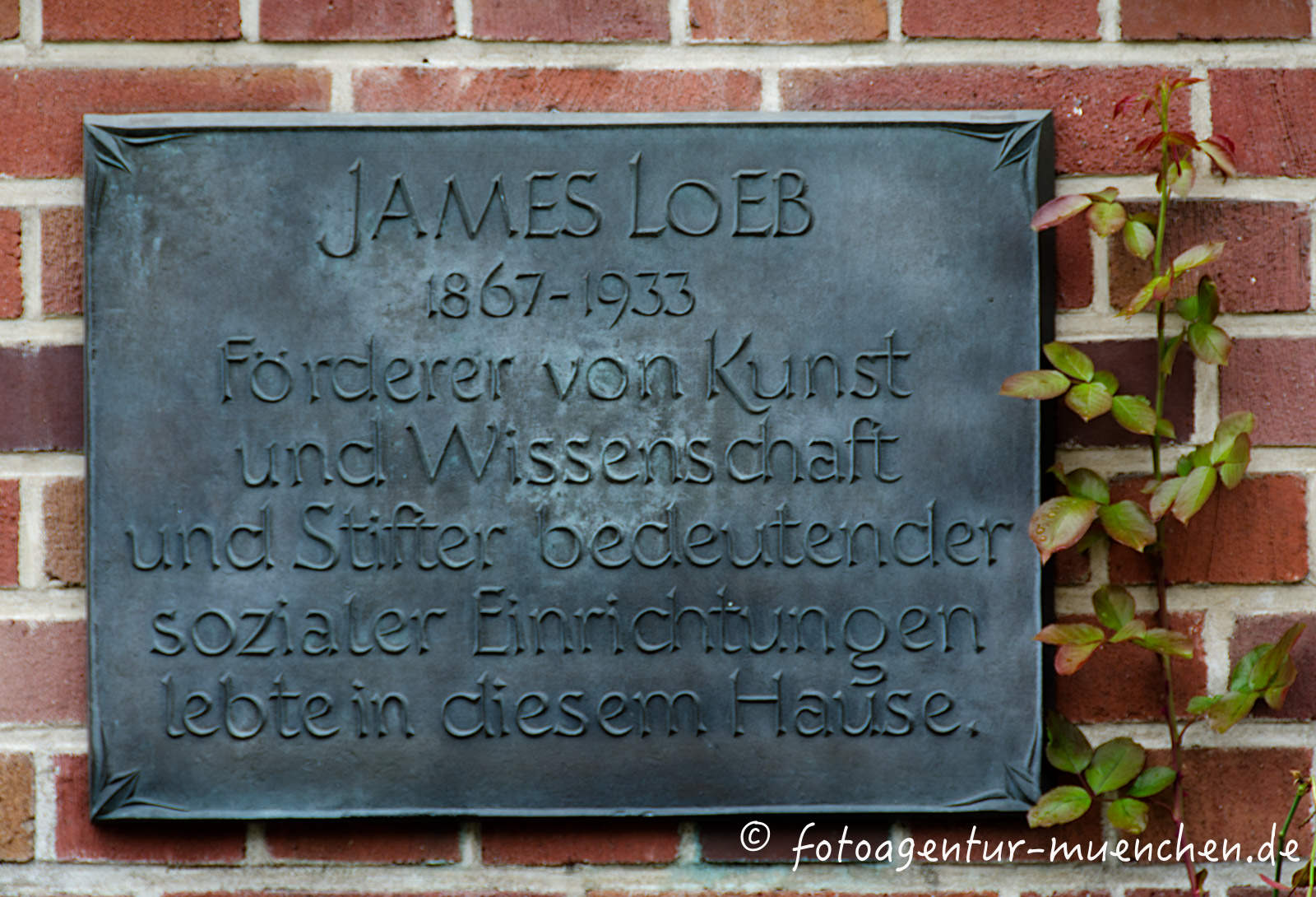 Gedenktafel - James Loeb