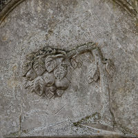 Abgebrochener Baum – Foto aus München