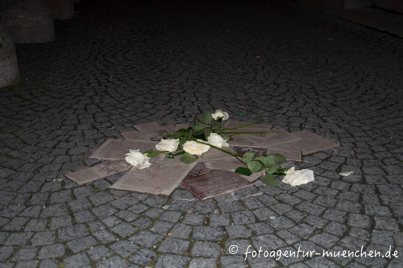 Bodendenkmal Weiße Rose