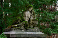 Waldfriedhof – Foto aus München