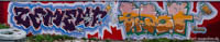 Gerhard Willhalm – Graffiti - Schlachthof