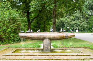 Taubenbrunnen (Gräf-Brunnen) – Foto aus München