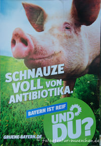 Wahlplakat Landtagswahl - Dir Grünen – Foto aus München