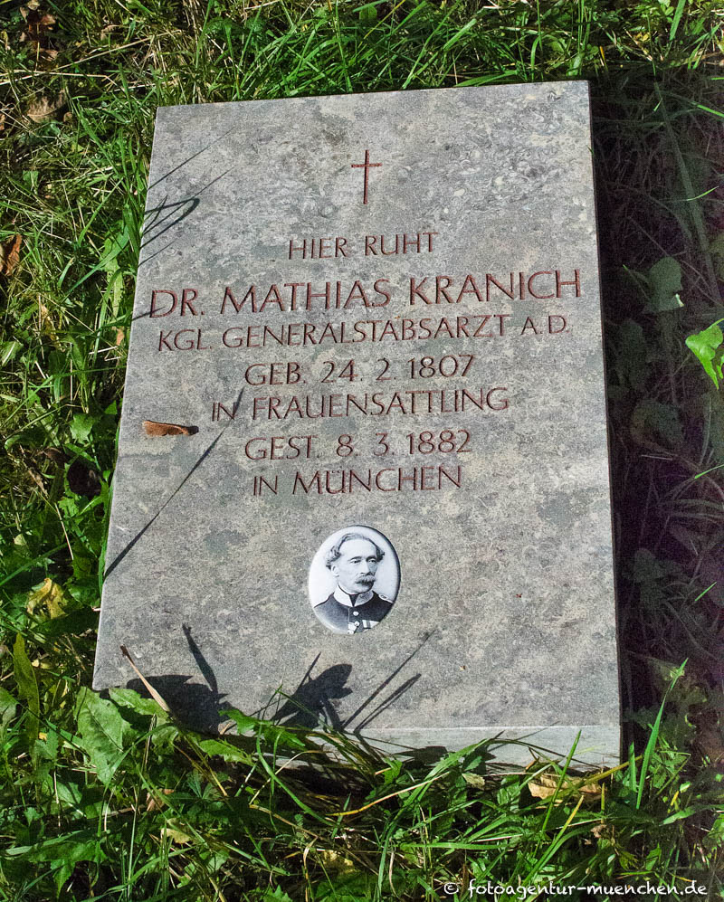 Kranich Mathias