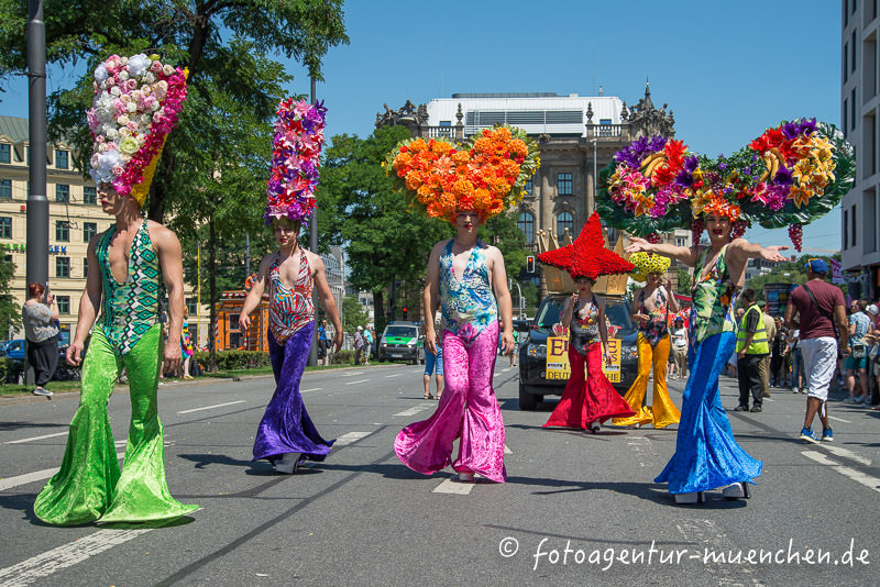 CSD 2014</a>