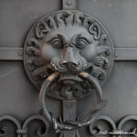 Portallöwe am Nationalmuseum – Foto aus München
