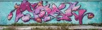Graffiti im Viehhof