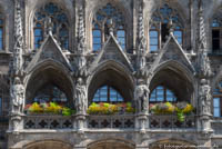 Münchner Rathaus - Neue Balkonbepflanzung – Foto aus München