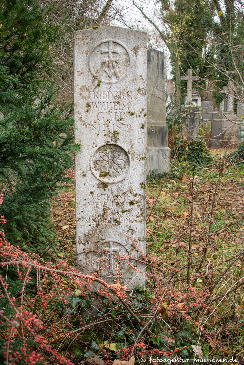 Güll Friedrich
