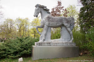 Mustang – Foto aus München