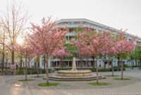 Gottfried Hansjakob - 