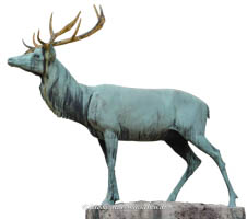 Hirsch - Borstei – Foto aus München