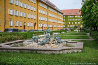 Borstei