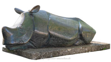 Junges Nashorn – Foto aus München