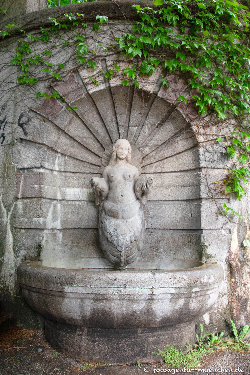 Brunnenweibchen