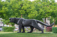 Panther – Foto aus München