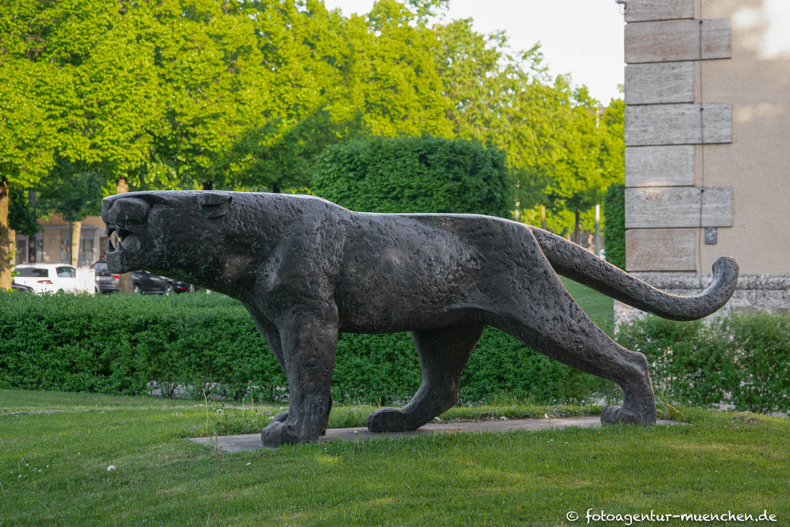 Panther