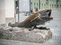 Waller – Foto aus München