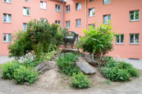 Steinbock – Foto aus München