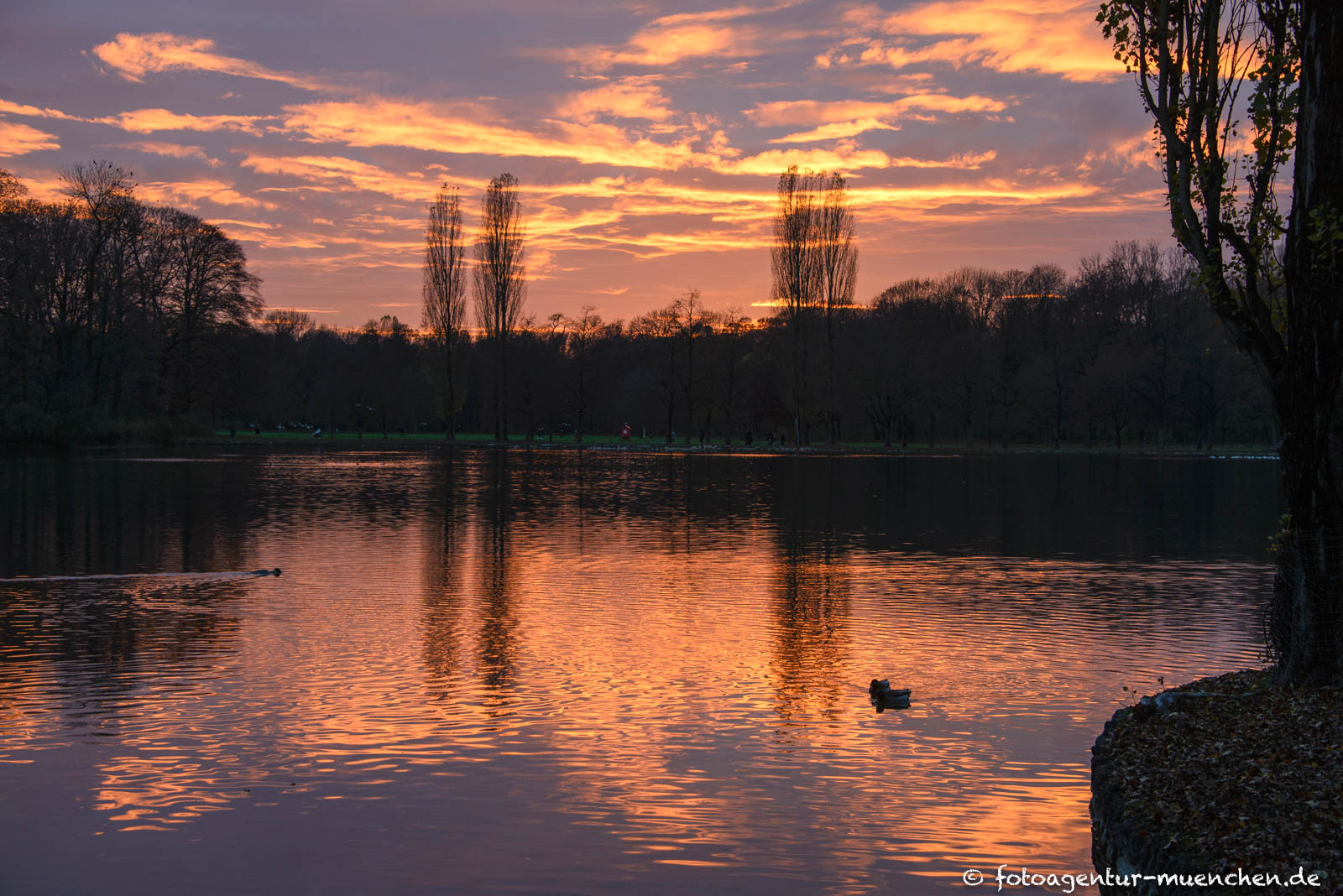 Kleinhesseloher See