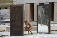  - Affe - Spiegel