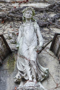 Flora -Botanischer Garten