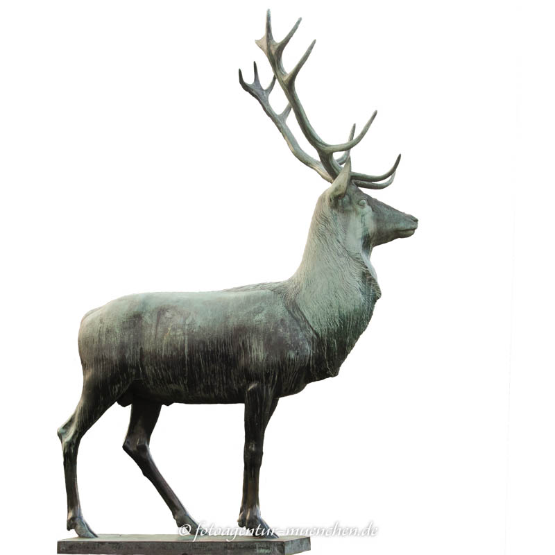 Hirsch