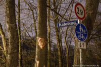 Streetart am Kabelsteg – Foto aus München