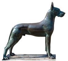 Der Hund
