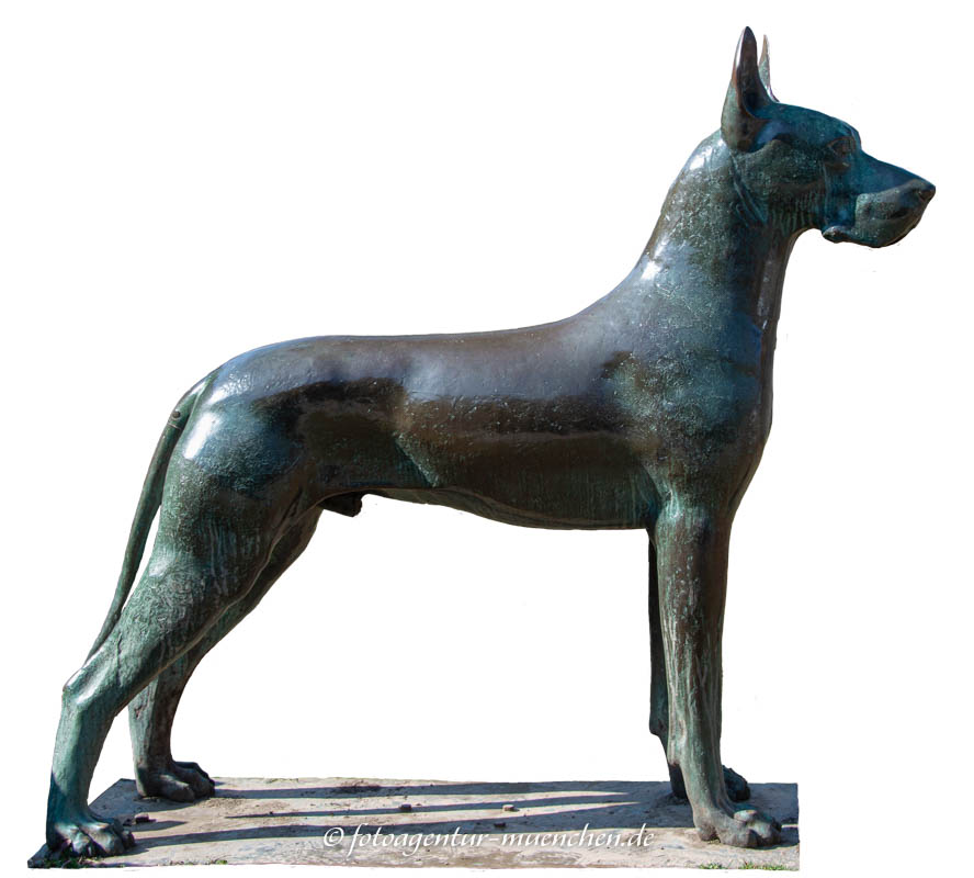 Der Hund