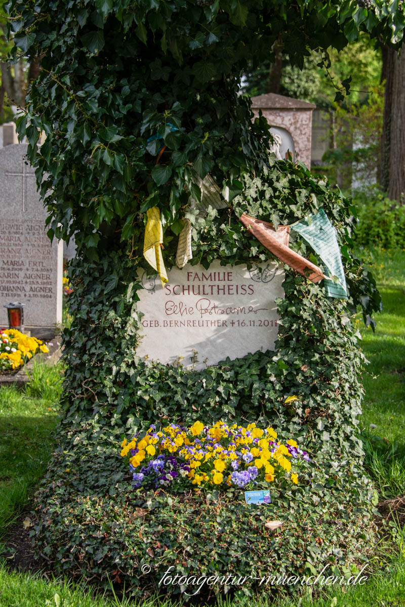 Grab - Familie Schultheiss
