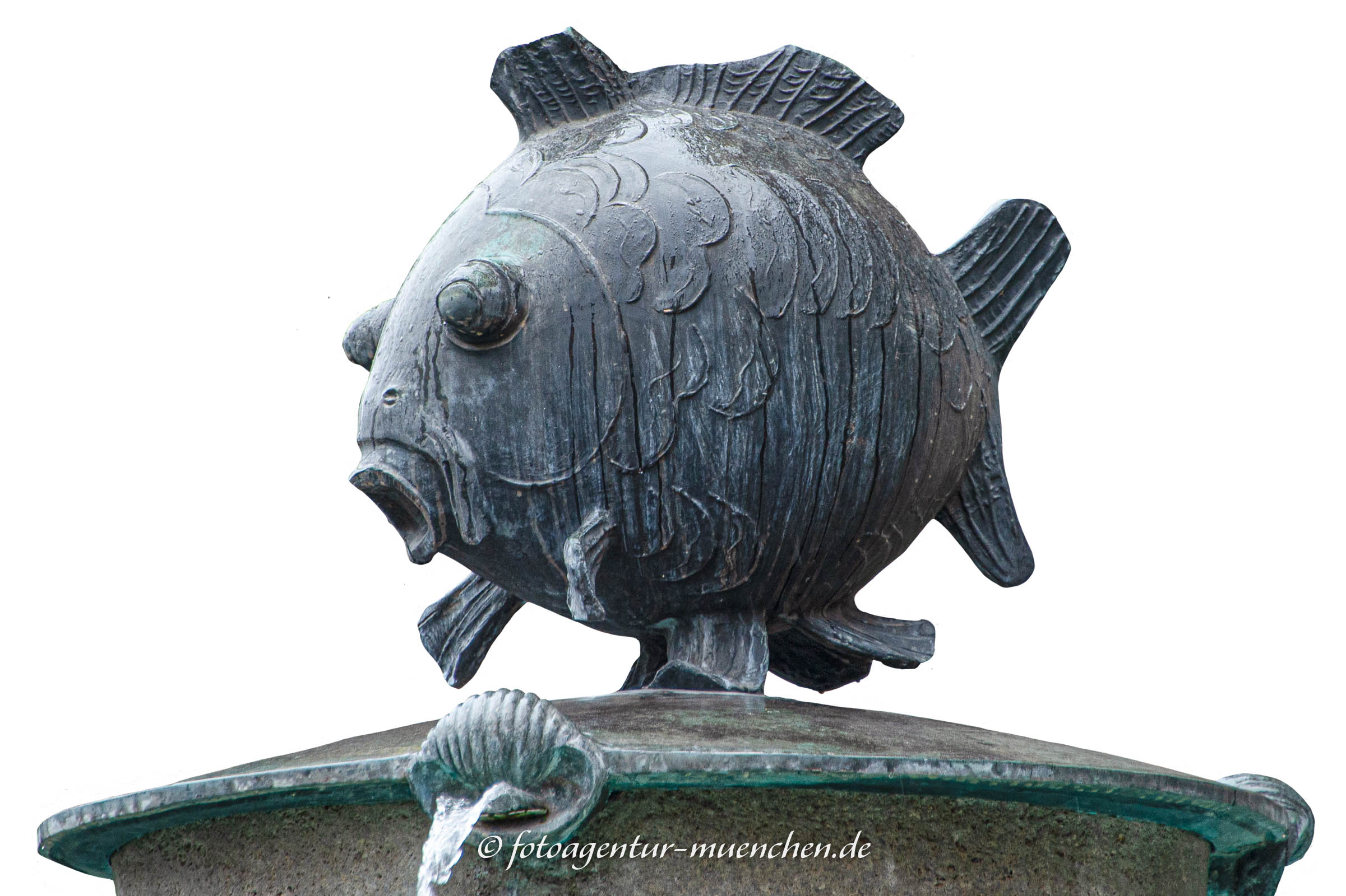 Fischbrunnen (Fisch)