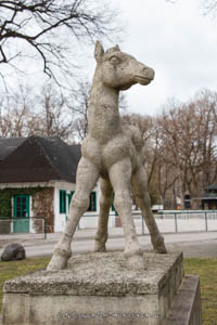 - Fohlen