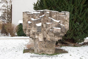 Steinblume – Foto aus München
