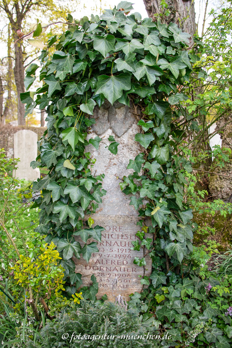 Dornauer Alfred
