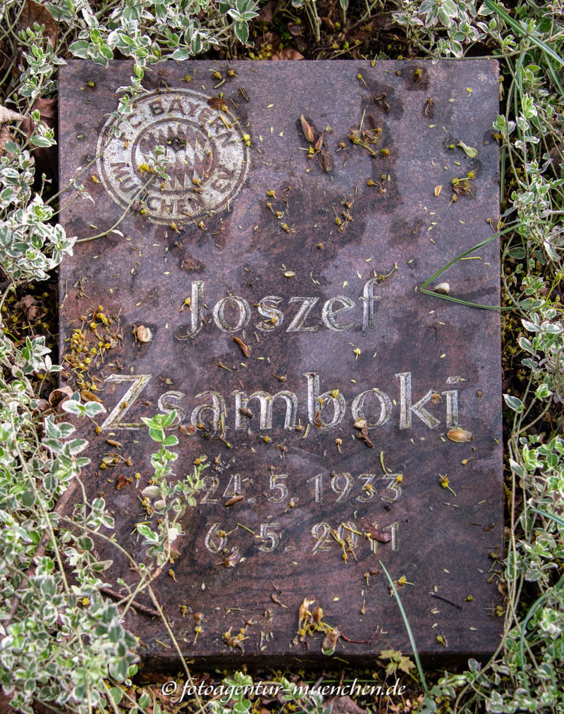 Zsamboki Jozsef