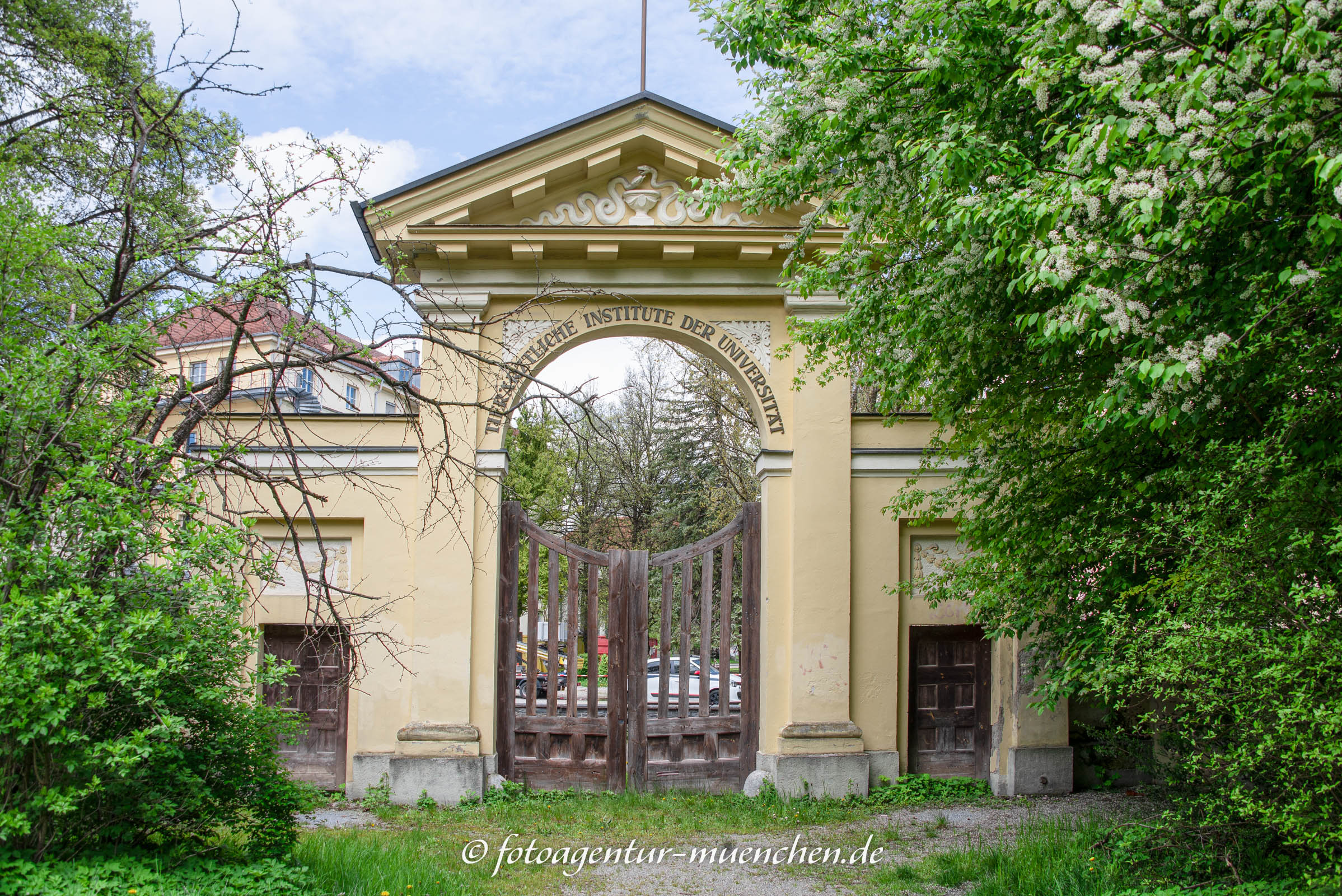 Tor der Tierärztlichen Fakultät