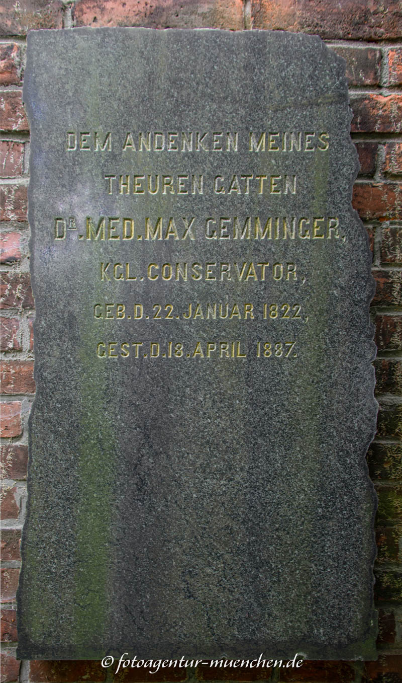 Gemminger Max